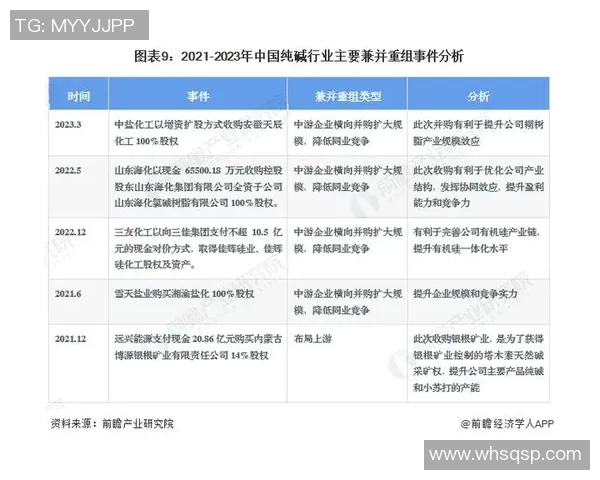 杭州足球队精英赛点评团队协作表现分析与启示